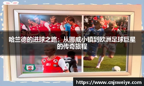 易游体育